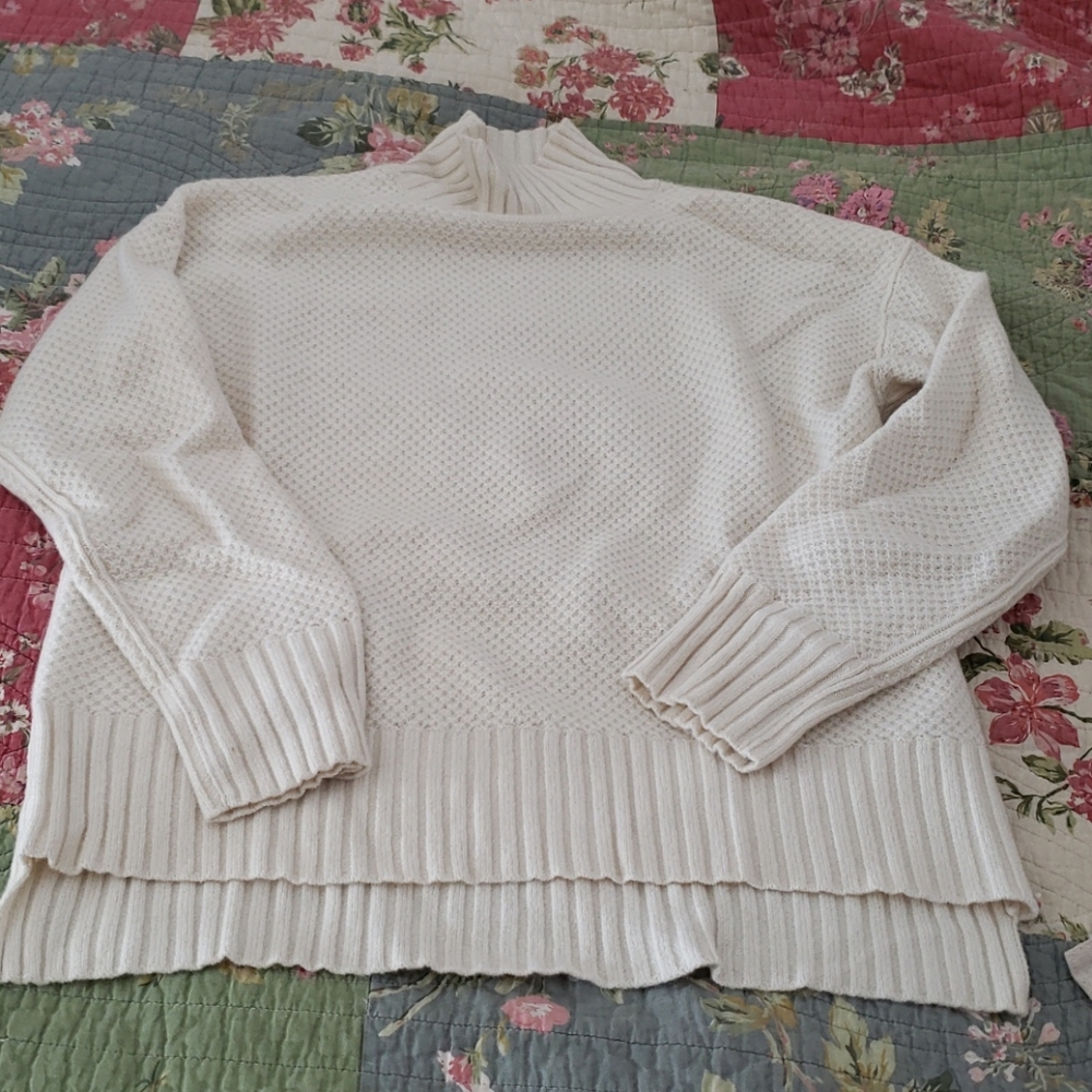 Everlane Stroopwaffel Turtleneck ReCashmere